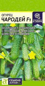 Огурец Чародей F1/Сем Алт/цп 5 шт.р