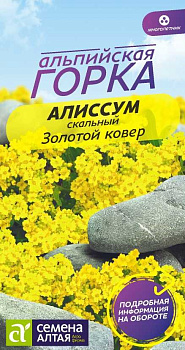 Цветы Алиссум Золотой Ковер/Сем Алт/цп 0,1 гр. многолетник Альпийская горка