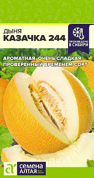 Дыня Казачка 244/Сем Алт/цп 1 гр.р