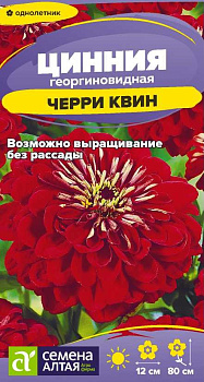 Цветы Цинния Черри Квин георгиноцветковая/Сем Алт/цп 0,2 гр.