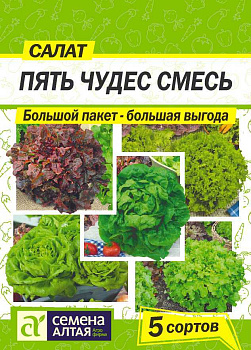 Зелень Салат Пять Чудес Смесь/Сем Алт/цп БОЛЬШОЙ ПАКЕТ! НОВИНКА!