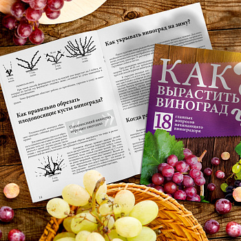 Методичка "Как вырастить виноград?"/Сем Алт/ 16 стр.