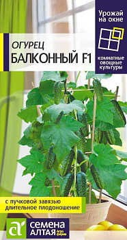 Огурец Балконный F1/Сем Алт/цп 5 шт.р