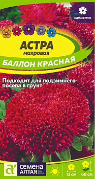 Цветы Астра Баллон Красная/Сем Алт/цп 0,1 гр.