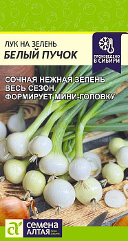 Лук на зелень Белый Пучок/Сем Алт/цп 0,5 гр.