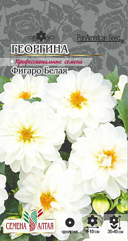 Цветы Георгина Фигаро Белая махровая/Сем Алт/цп 7 шт. 