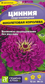Цветы Цинния Фиолетовая Королева георгиноцв./Сем Алт/цп 0,2 гр.