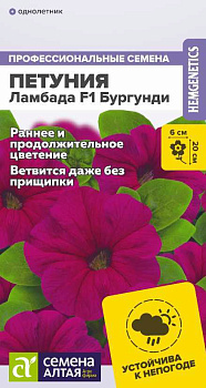 Цветы Петуния Ламбада F1 Бургунди/Сем Алт/цп 10 шт.