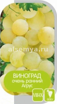 Виноград Агрус