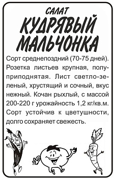 Зелень Салат Кудрявый Мальчонка/Сем Алт/бп 1 гр. 