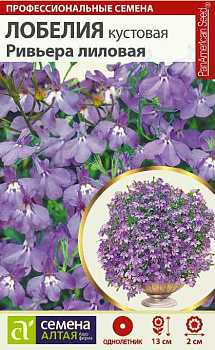 Цветы Лобелия Ривьера лиловая кустовая/Сем Алт/цп 8 шт. 