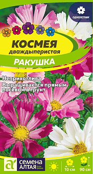 Цветы Космея Ракушка/Сем Алт/цп 0,5 гр.