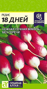 Редис 18 дней/Сем Алт/цп 2 гр.р