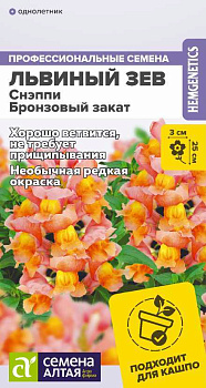 Цветы Львиный зев Снэппи Бронзовый закат/Сем Алт/цп 7 шт.