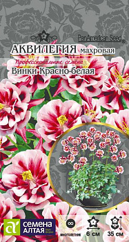 Цветы Аквилегия Винки Красно-белая махровая/Сем Алт/цп 5 шт. многолетник 