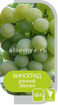 Виноград Элегант