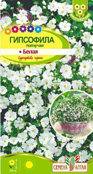 Цветы Гипсофила ползучая Белая/Сем Алт/цп 0,2 гр. многолетник