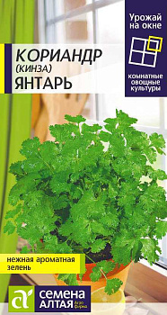 Зелень Кориандр Янтарь/Сем Алт/цп 2 гр.р УРОЖАЙ НА ОКНЕ! !