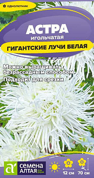 Цветы Астра Гигантские лучи Белая/Сем Алт/цп 0,2 гр.