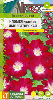 Цветы Ипомея Императорская красная/Сем Алт/цп 0,2 гр. Вьющиеся растения