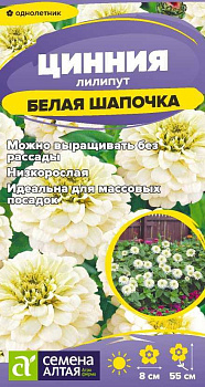 Цветы Цинния лилипут Белая Шапочка/Сем Алт/цп 0,2 гр.