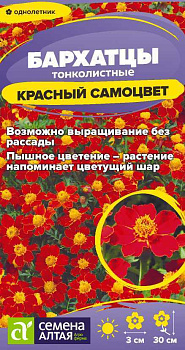 Цветы Бархатцы Красный Самоцвет тонколистн./Сем Алт/цп 0,1 гр.
