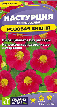 Цветы Настурция Розовая вишня низкоросл./Сем Алт/цп 1 гр.