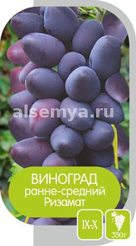 Виноград Ризамат