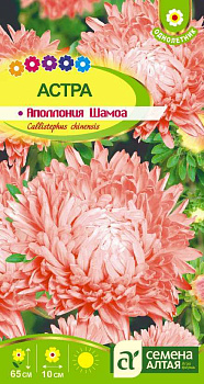 Цветы Астра Аполлония Шамоа/Сем Алт/цп 0,2 гр.