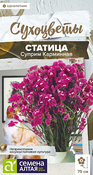 Цветы Статица Суприм Карминная/Сем Алт/цп 0,1 гр. Сухоцветы