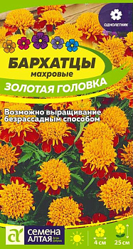 Цветы Бархатцы Золотая Головка махровые/Сем Алт/цп 0,2 гр.