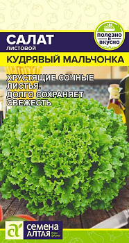 Зелень Салат Кудрявый Мальчонка/Сем Алт/цп 0,5 гр.