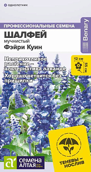 Цветы Шалфей Фэйри Куин мучнистый/Сем Алт/цп 5 шт. НОВИНКА 