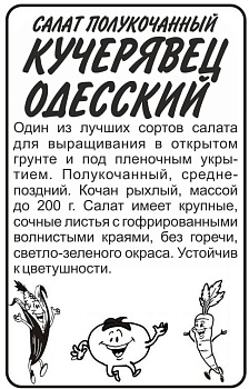 Зелень Салат Кучерявец Одесский/Сем Алт/бп 1 гр.