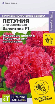 Цветы Петуния Валентина F1 махровая/Сем Алт/цп 7 шт.