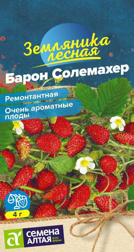Земляника Барон Солемахер