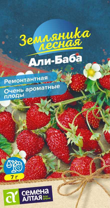 Земляника Али-баба