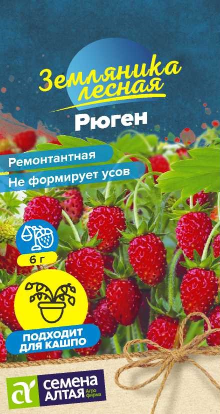 Земляника Рюген