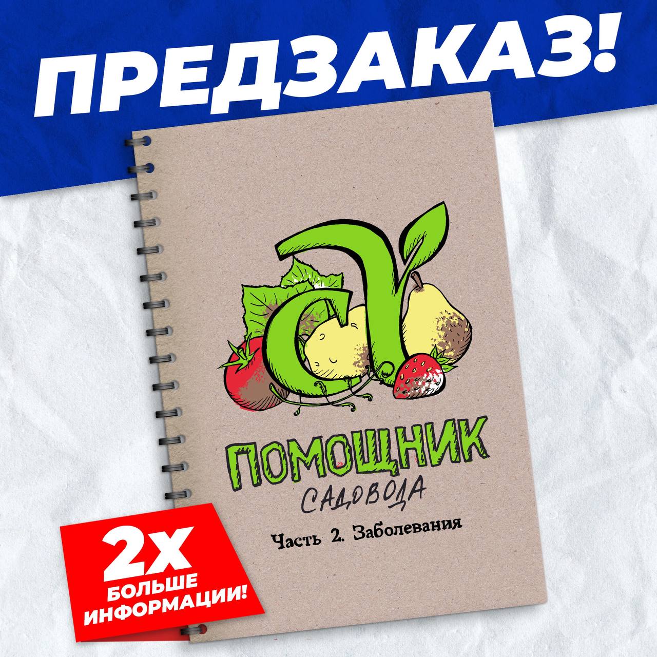 photo_2024-07-31 14.46.09