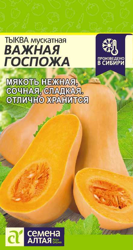 Тыква важная госпожа