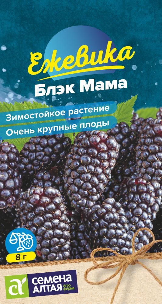 Ежевика Блэк Мама