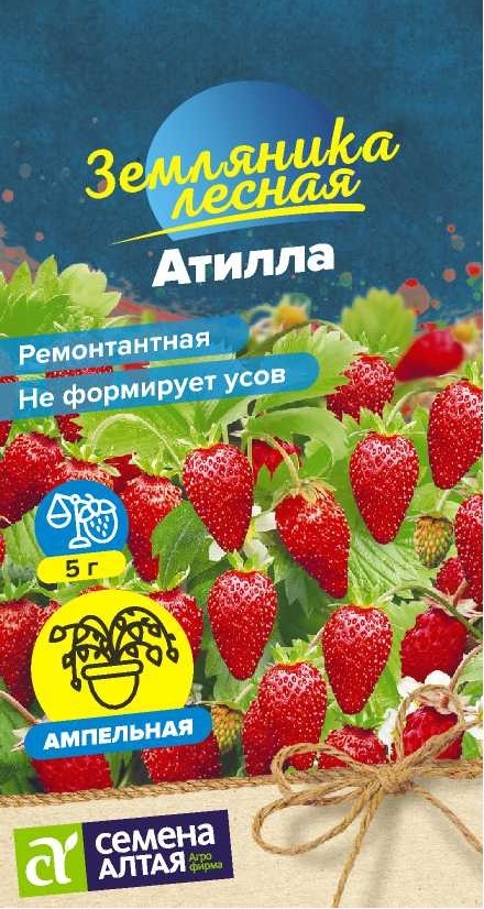 00-00035642