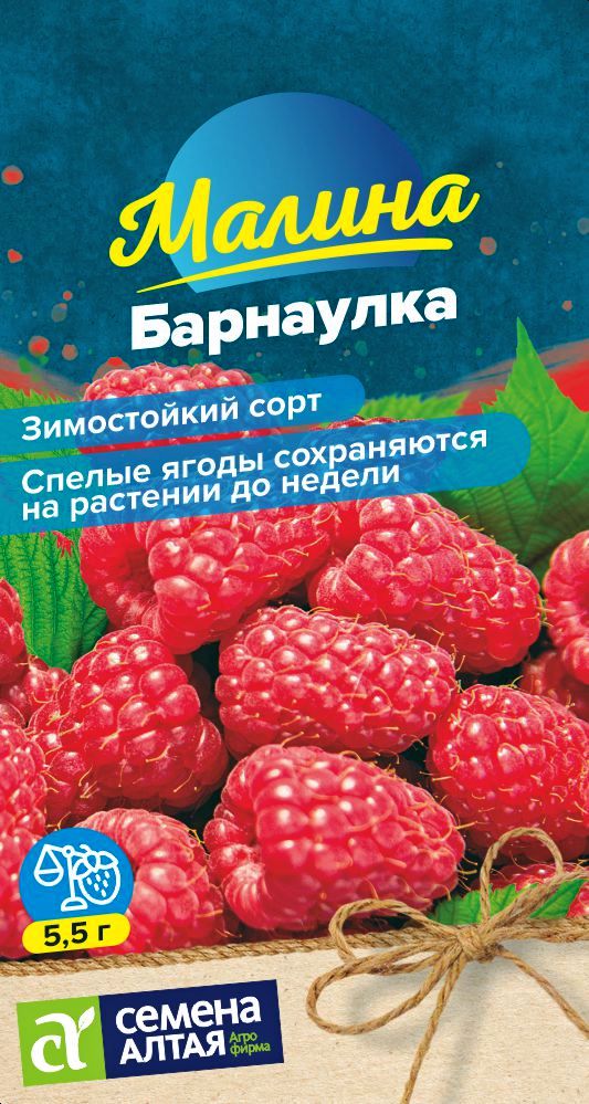 Malina-_-Barnaulka