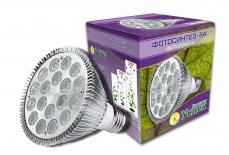 Фотосинтез 54