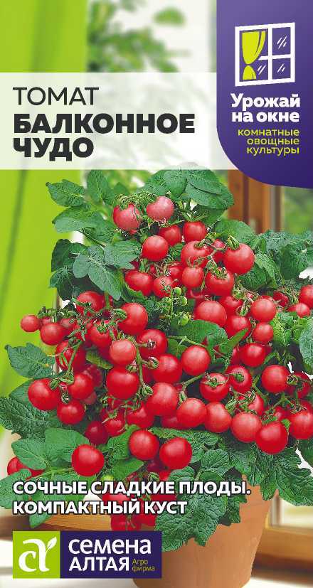 Томат Балконное чудо