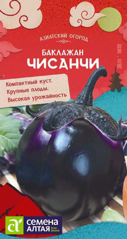 Баклажан Чисанчи