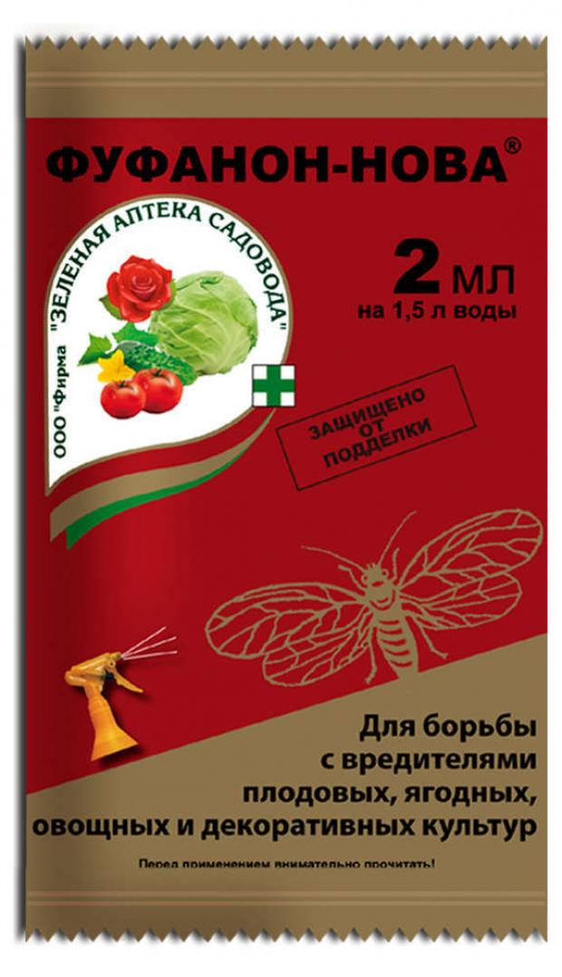 Фуфанон-нова