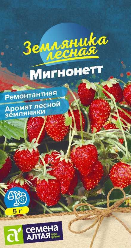 Земляника Мигнонетт