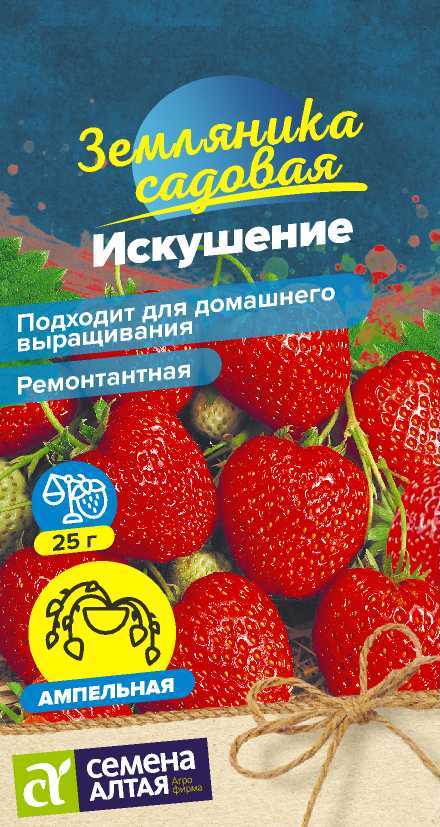 Земляника Искушение