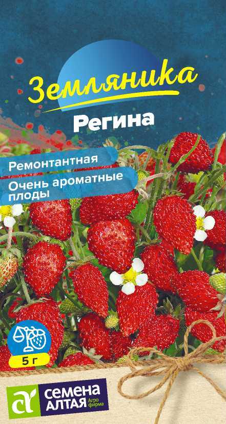 Земляника Регина